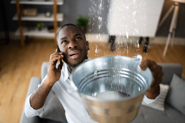 Best Ceiling water damage repair  in Williamstown, NJ