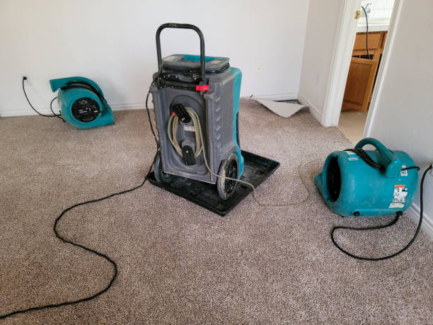 Best Basement water damage restoration  in Williamstown, NJ