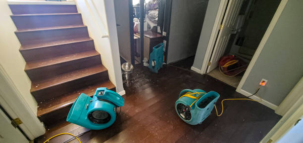 Best Residential water damage restoration  in Williamstown, NJ