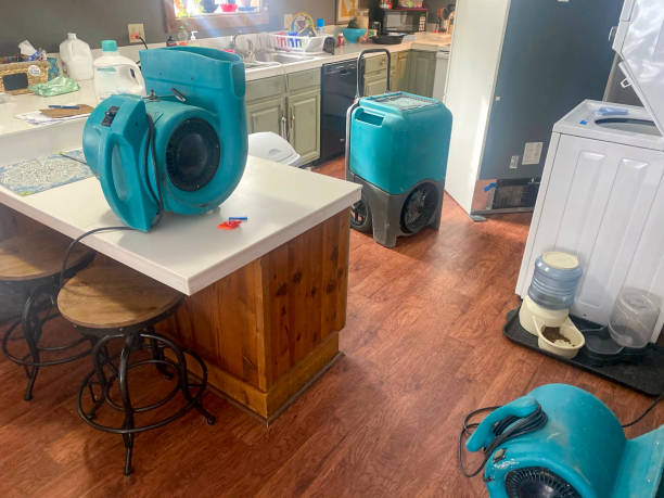 Best Water damage cleanup near me  in Williamstown, NJ