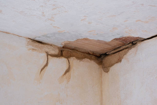 , NJ Water damage restoration Company