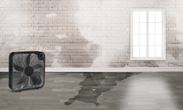 Best Emergency water damage restoration  in Williamstown, NJ