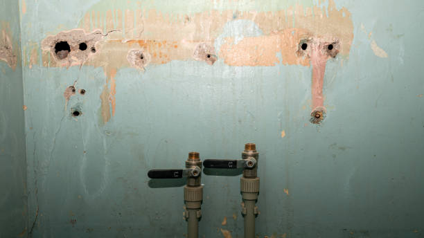  Williamstown, NJ Water damage restoration Pros