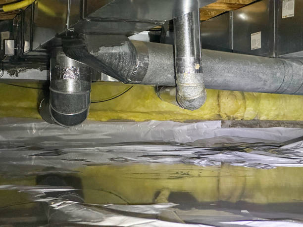 Best Water damage contractors near me  in Williamstown, NJ