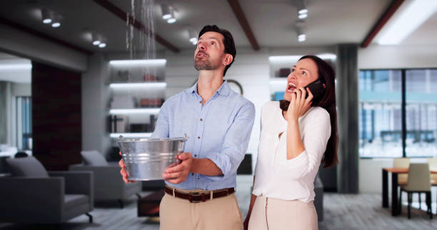 Best Water damage restoration near me  in Williamstown, NJ